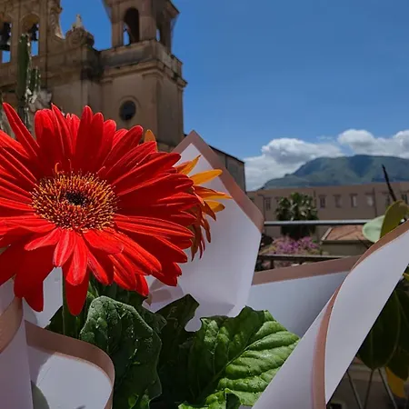 Le Terrazze Elite Πανσιόν 3*